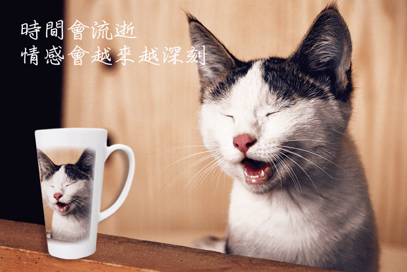 熱昇華大斜口馬克杯(含外盒)(24入) @84 big bevel mug photos 1