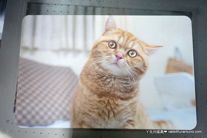 客製化商品自己做,創業不是夢!熱轉印機推薦、UV直噴機推薦 blogger rabbitfunaround 55