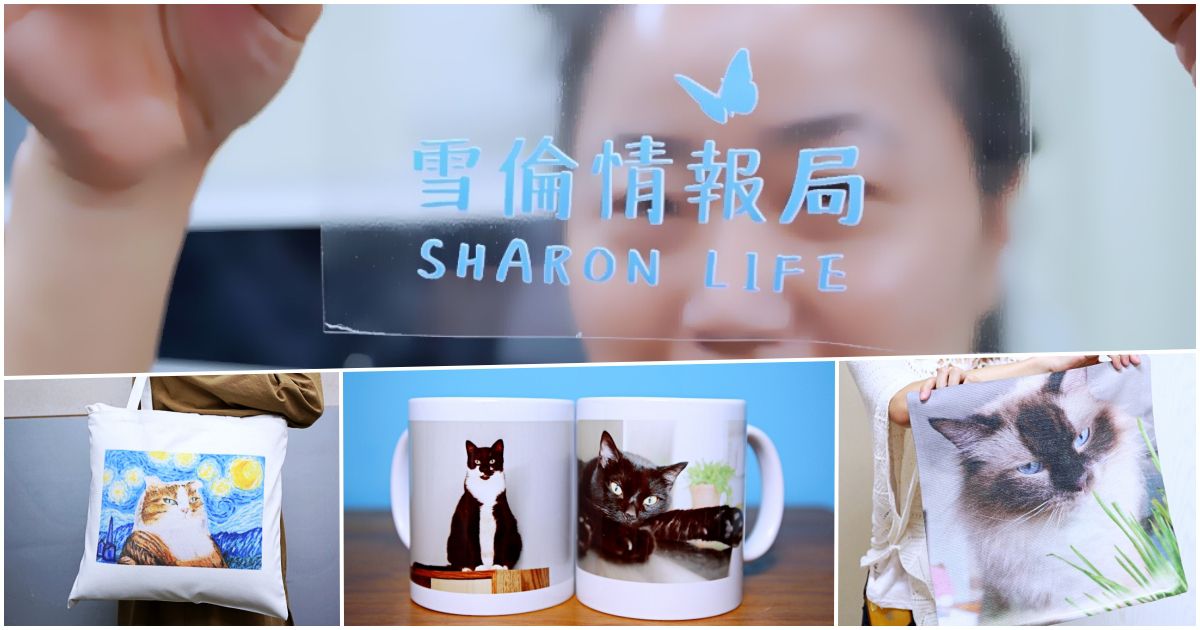 部落格文章 blogger shronlife 1