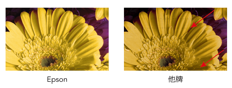 Epson SureColor SC-F530 24吋熱昇華數位印表機-熱昇華印表機推薦 transfer paper difference