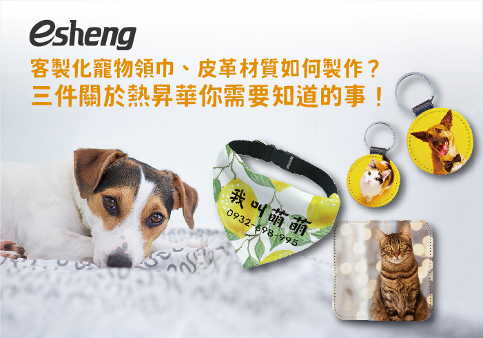 最新消息 How to make pet scarf leather material 1 1