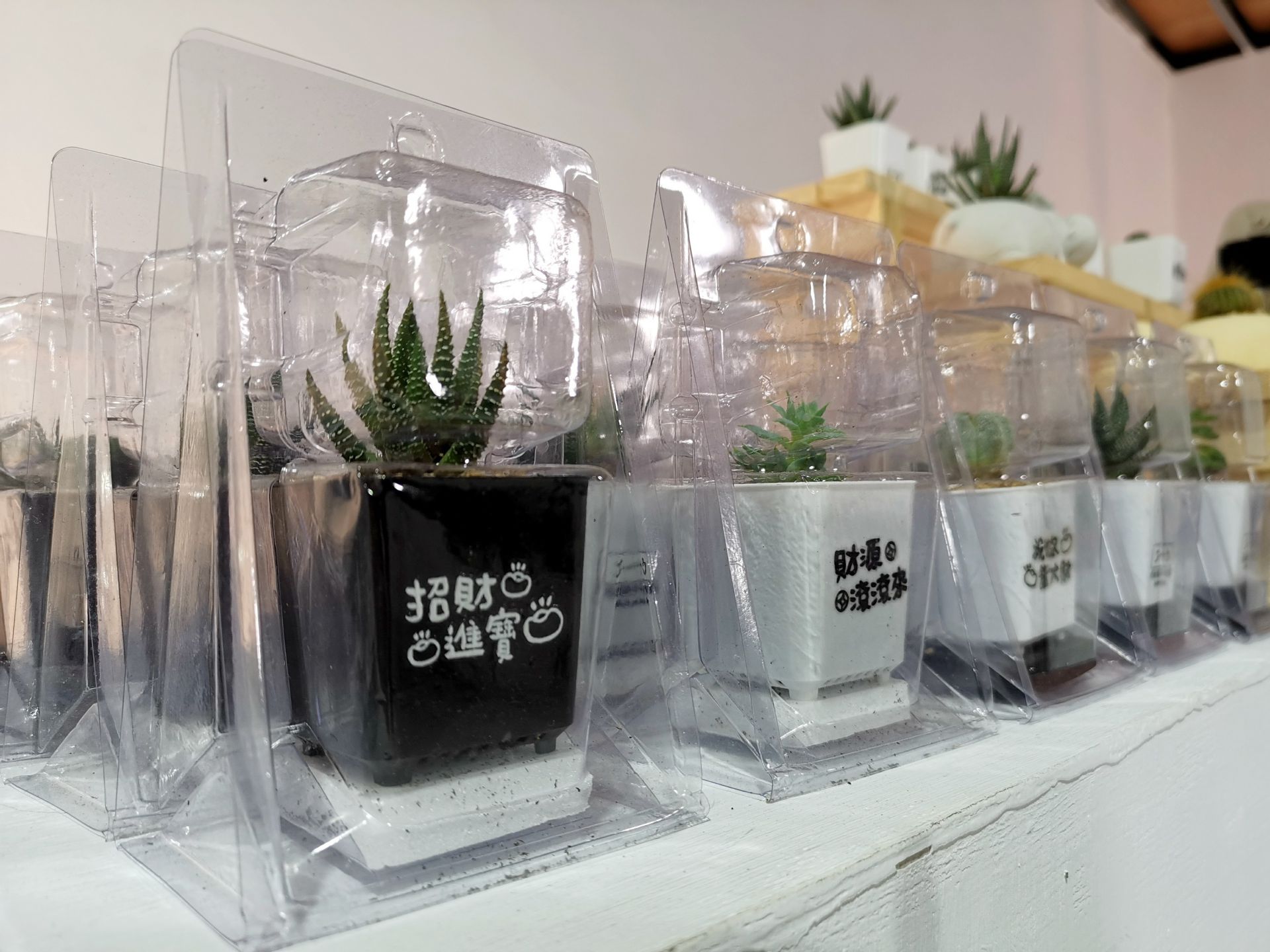 APEX UV6090T 桌上型UV數位直噴機 多肉植物盆栽半客製化水晶標籤貼紙DIY手作體驗|奕昇有限公司 cecilia 220506 63