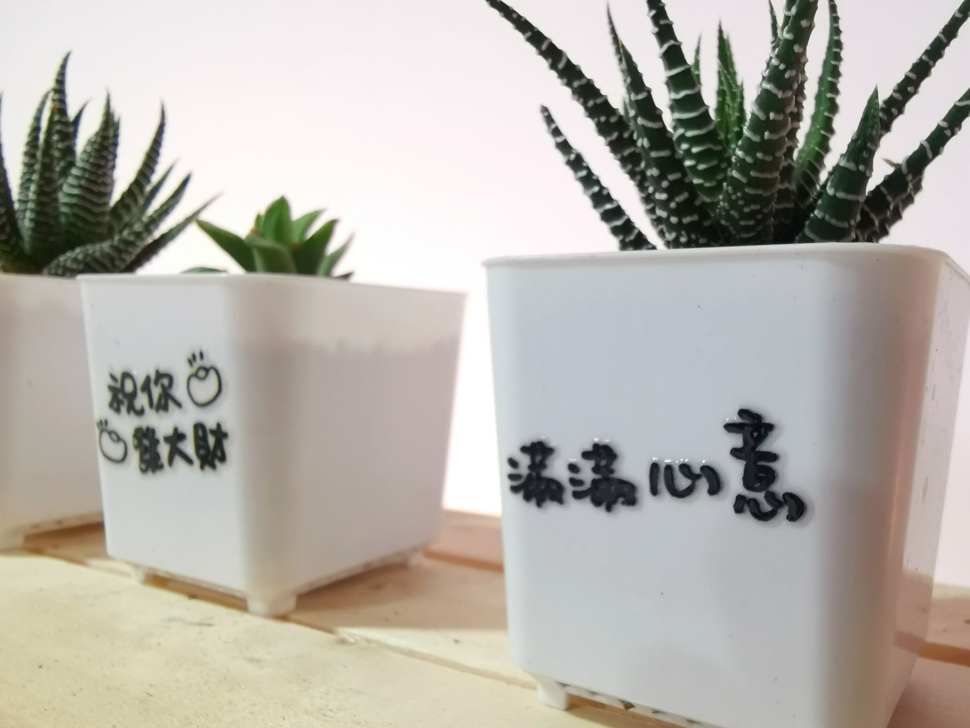 APEX UV6090T 桌上型UV數位直噴機 多肉植物盆栽半客製化水晶標籤貼紙DIY手作體驗|奕昇有限公司 cecilia 220506 64